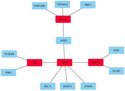 A Genome-Wide Integrative Association Study of DNA Methylation and Gene Expression Data and Later Life Cognitive Functioning in Monozygotic Twins